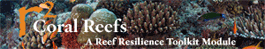 Toolkit Coral Reefs Module