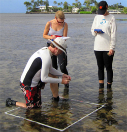 Community members conduct monitoring activities monthly in Maunalua Bay. Photo © TNC