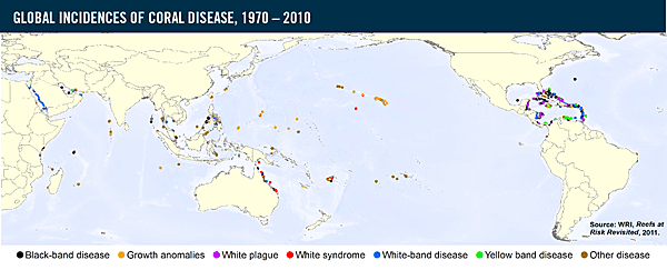 mapa global de la enfermedad de coral