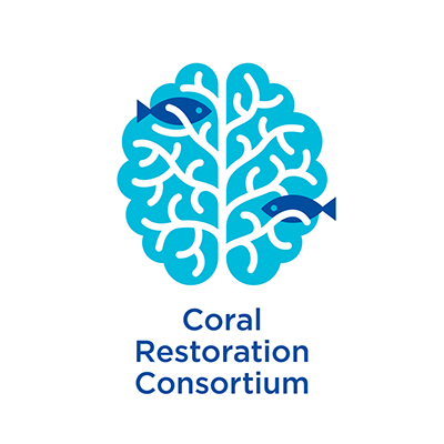 Consórcio de restauração de corais