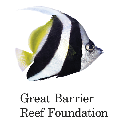 Foundation of Barrier Reef