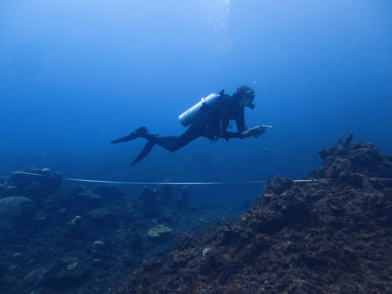 Image: AHF performing coral reef monitoring Photo © David Lee, 2026 Image: AHF performing coral reef monitoring Photo © David Lee, 2026