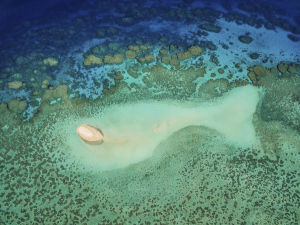 มุมมองทางอากาศของแนวปะการัง Great Barrier Reef ประเทศออสเตรเลีย