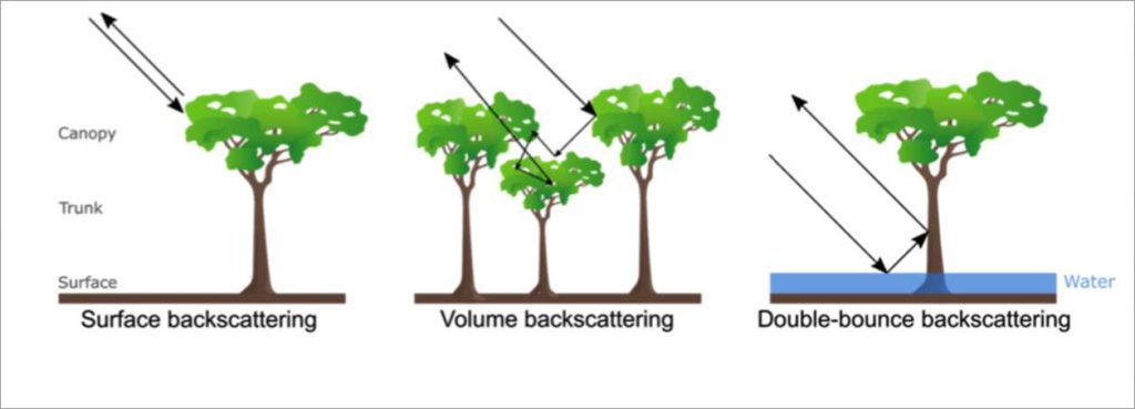 Three types of backscattering