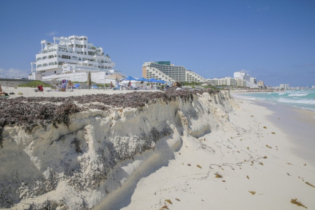 Beach erosion in Cancun, Mexico. Photo © Jesse Festa