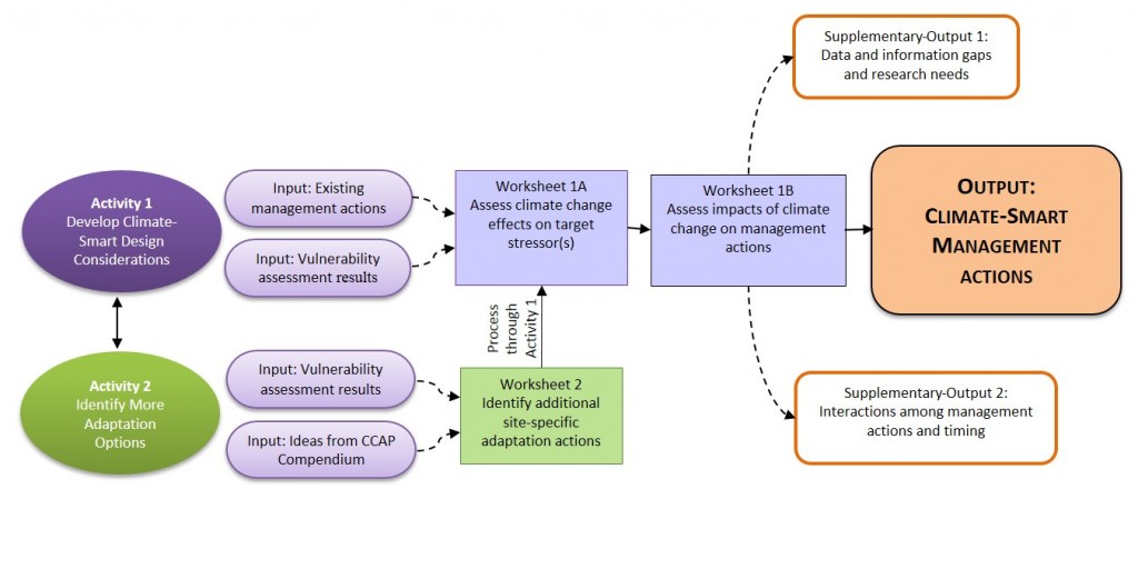 The Adaptation Design Tool flow chart shows the activities in the Design Tool and the progression to climate-smart management actions (from Adaptation Design Tool: Corals and Climate Adaptation Planning).