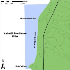 Grenzen van de KHFMA langs de Kā'anapali Coast, West Maui. © Hawai'i DLNR