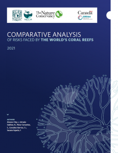Vergelijkende analyse van de risico's waarmee de koraalriffen ter wereld worden geconfronteerd