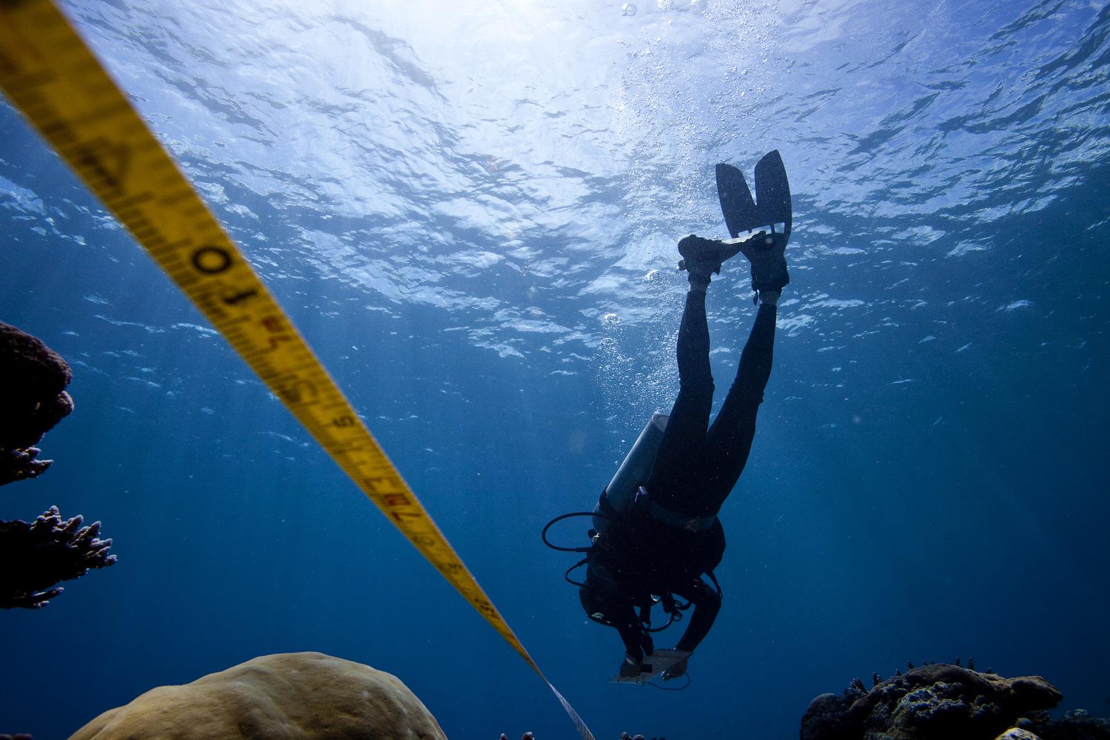 Coral reef researcher Palau Photo © Ian Shive