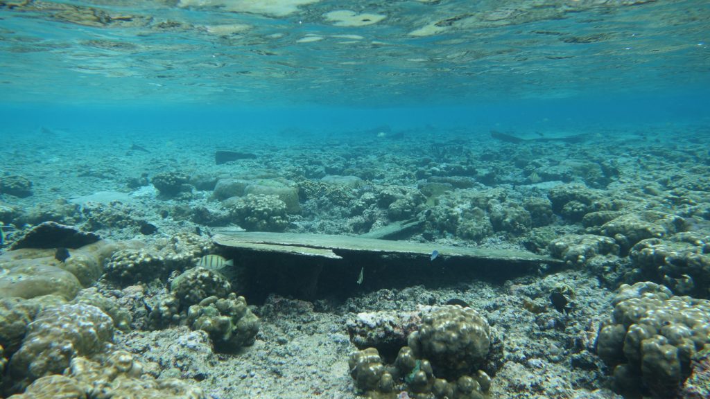 Bato domaj sou yon resif. Photo © Alice Lawrence / Depatman Samoa Ameriken ak Resous Wildlife