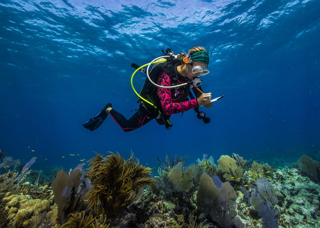 غواص يراقب الشعاب المرجانية في فلوريدا كيز. الصورة © Shaun Wolfe / Ocean Image Bank