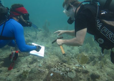 Divers outplanting in CRF nursery in Key Largo. © Kylie Hasegawa