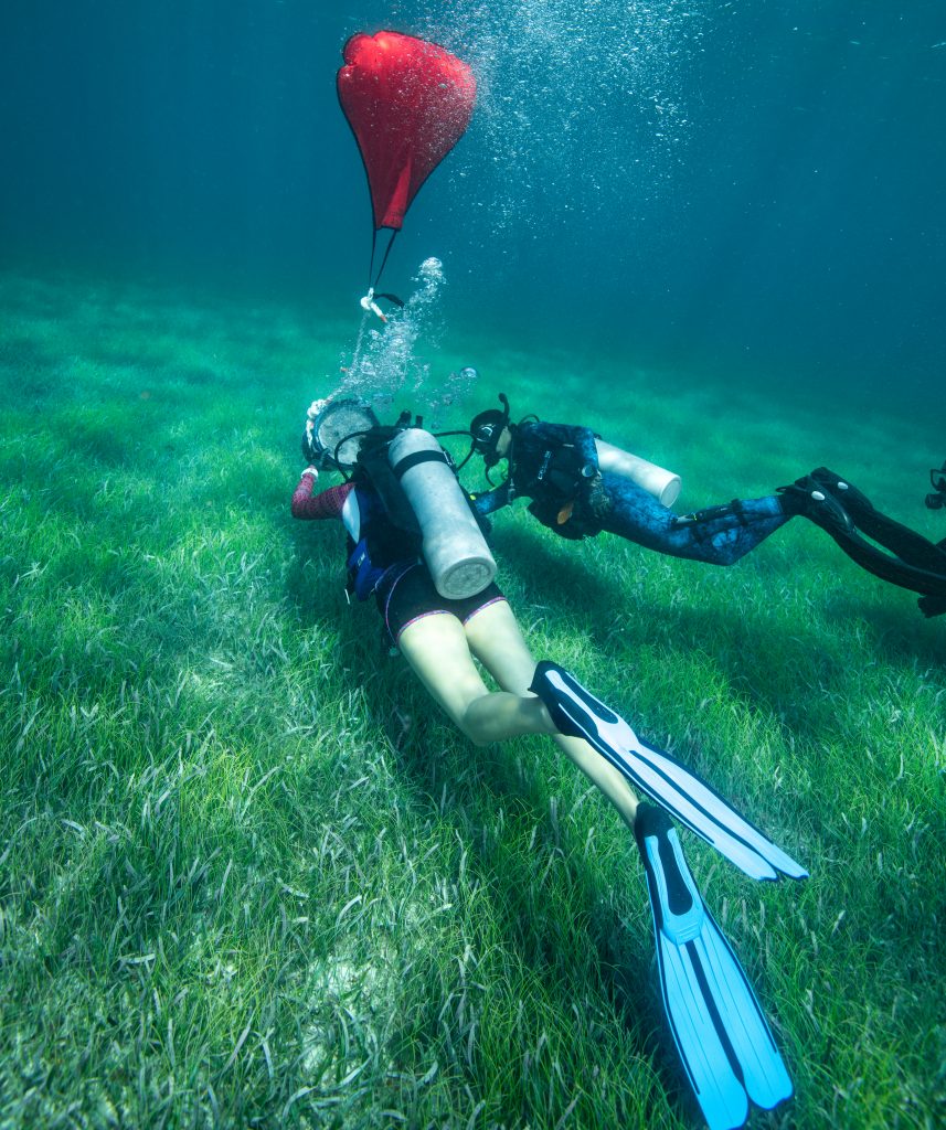 潛水員培訓使用吊袋作為應急響應協議的一部分。 照片 © 詹妮弗·阿德勒