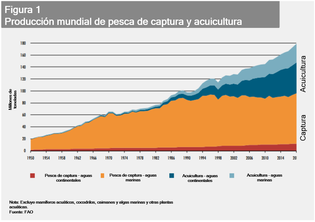 situación de la acuicultura pesca mundial y producción acuícola