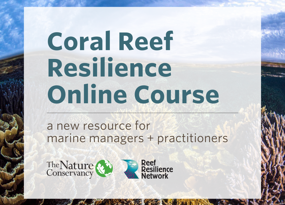 新しいリソース：サンゴ礁の回復力オンラインコース