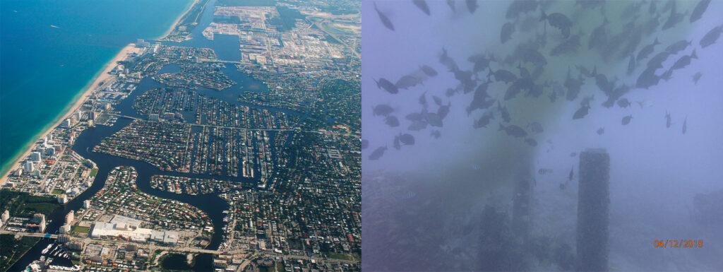 มุมมองทางอากาศของฟอร์ตลอเดอร์เดล ฟลอริดา ภาพถ่าย© Formulance/Flickr (ซ้าย) การรั่วไหลของมหาสมุทรใต้ผิวดินใกล้กับฮอลลีวูด รัฐฟลอริดา ภาพถ่าย©กรมคุ้มครองสิ่งแวดล้อมฟลอริดา (ขวา)