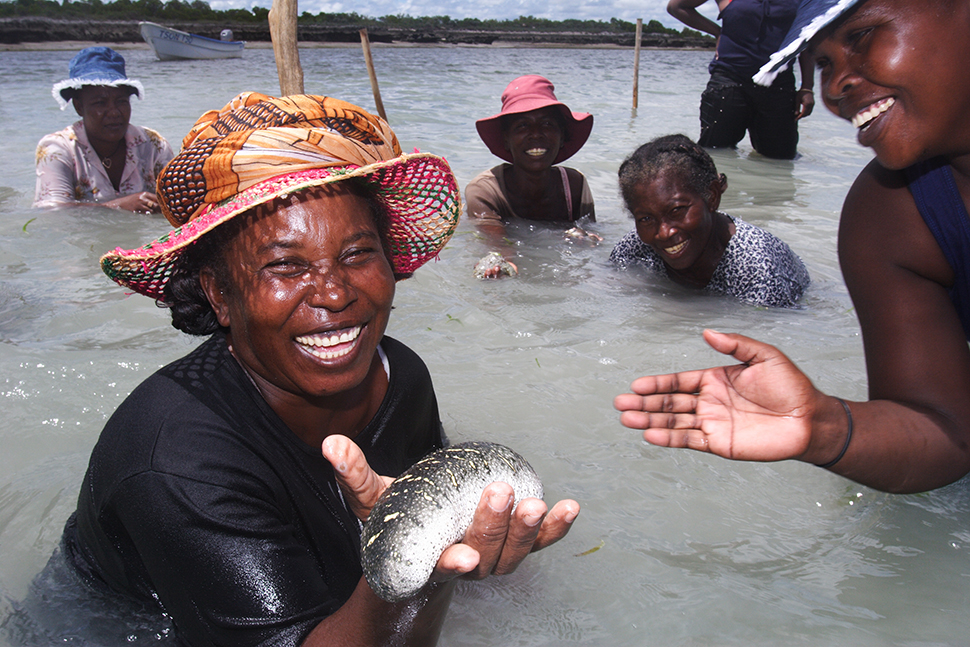 Kilimo cha matango ya baharini ni njia mbadala ya kuishi kwa mazoea mengine ya uvuvi. Picha © Garth Cripps / Blue Ventures