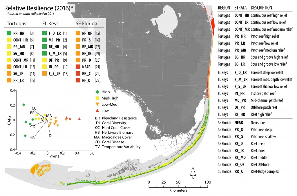 Figure 1. Relative resilience to climate change in the Florida Reef Tract, based on data collected in 2016. Rankings from highest to lowest relative resilience (1-23) are shown after strata codes top left, and descriptions for strata codes are right. Relative resilience is greatest in the FL Keys and lowest in SE Florida. Results of a canonical analysis of principal (CAP) coordinates are inset and show strong groupings among the relative categories in multivariate space. High resilience sites are strongly associated with high values for coral cover, bleaching resistance, and herbivore biomass and low levels of coral disease; the opposite is true for low resilience sites. (from Maynard et al. 2017)