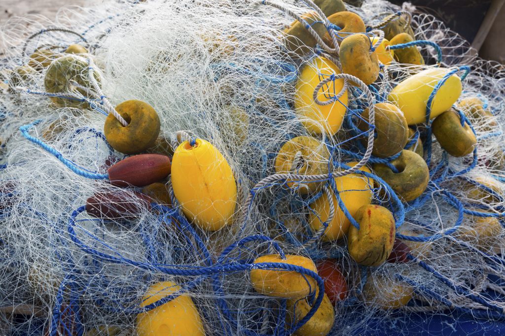 Fishing nets Jason Houston
