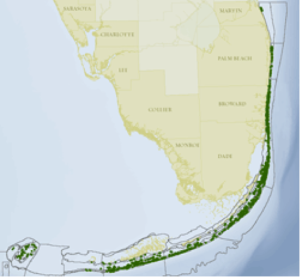 Florida bleaching map. Photo © TNC