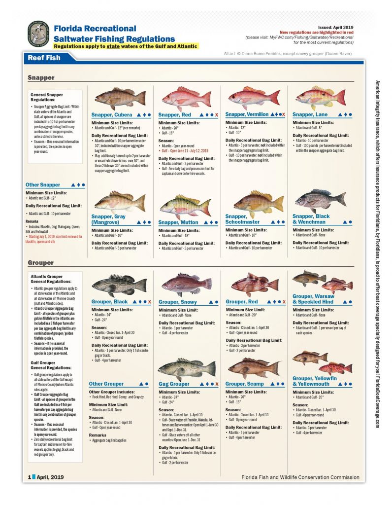 لوائح صيد الأسماك في المياه المالحة في فلوريدا ، بما في ذلك حدود الأكياس والمواسم ، لجنة الحفاظ على الأسماك والحياة البرية في فلوريدا
