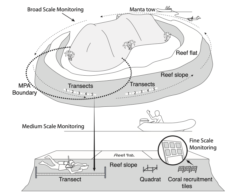 Diagram presenting GCRMN’s three scales of monitoring and associated methods. Source: GCRMN 2004