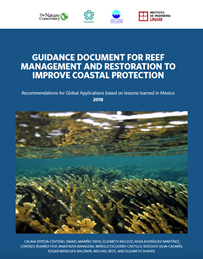 メキシコで学んだ教訓に基づいたグローバルアプリケーションの沿岸保護勧告を改善するためのサンゴ礁の管理と回復のためのガイダンス文書Zepeda
