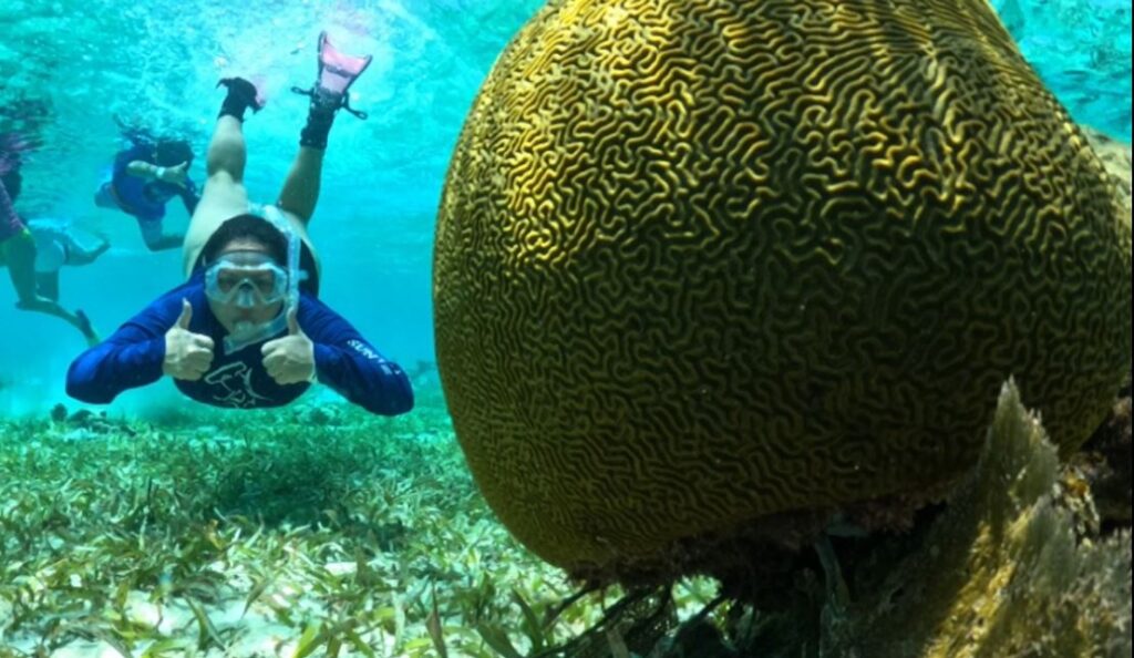 在伯利茲的珊瑚礁上浮潛。 照片 © Marcus Alamina