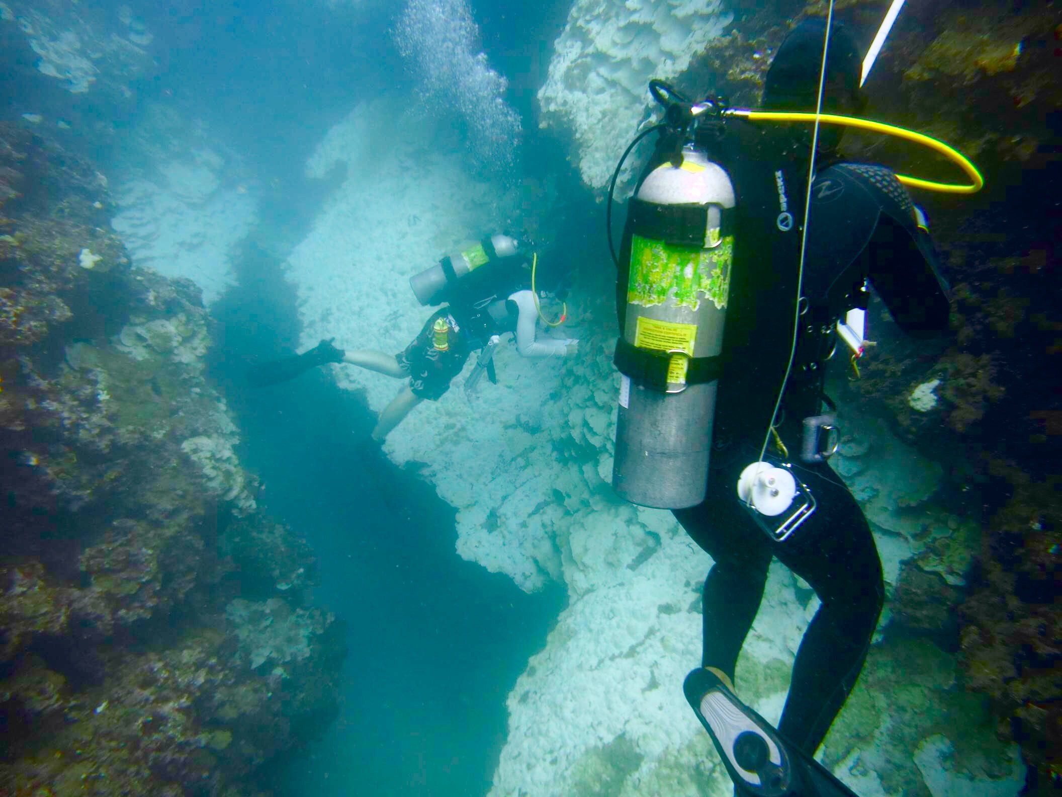 TNC Hawai'i personnel conducting monitoring during 2014-2015 mass coral bleaching event. 