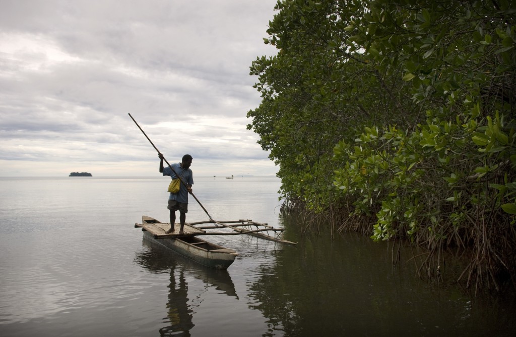 A proteção dos manguezais também protege a pesca sustentável e a subsistência.