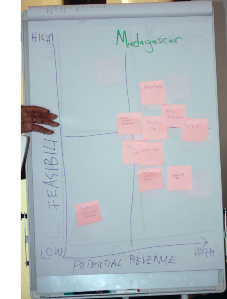 A chart created by a team from Madagascar at the Western Indian Ocean Marine Science Association-Blue Nature Alliance MPA Finance workshop Sept 2023. Photo © Blue Nature Alliance