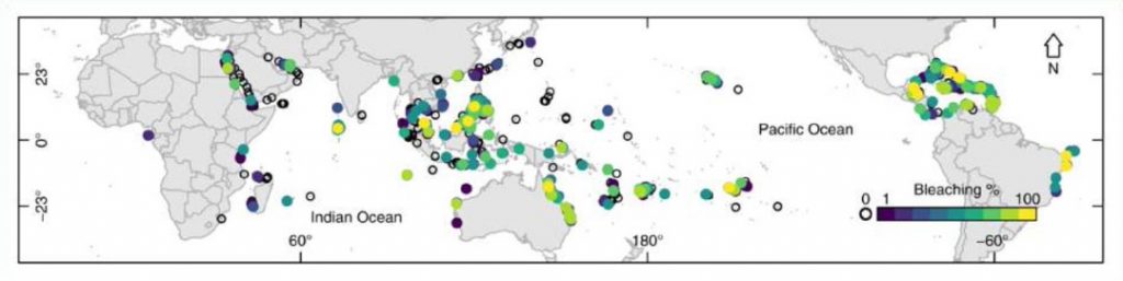 Carte de la répartition du blanchissement des coraux dans le monde