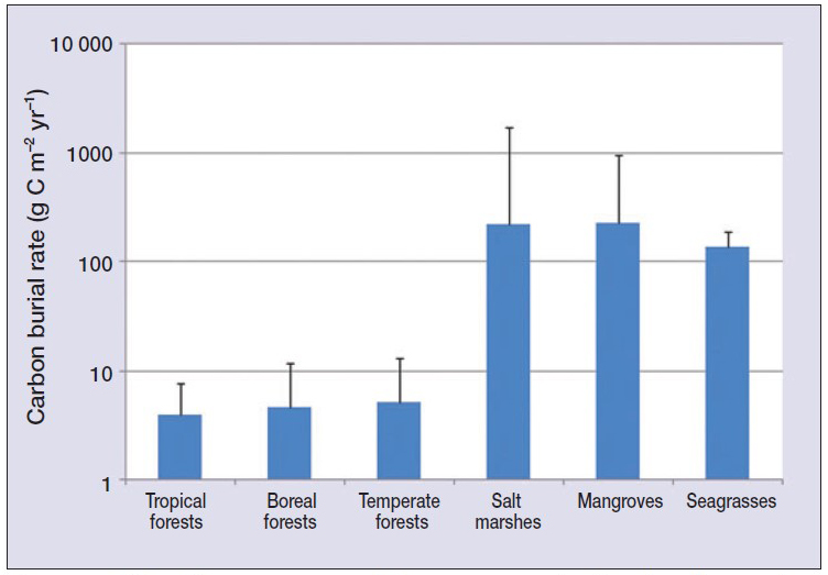 陸地森林土壤和沿海植被生態系統沉積物中C螯合的平均長期速率（g C m-2 yr-1）。 誤差棒表示最大累積率。 注意y軸的對數標度。 資料來源：Mcleod等。 2011