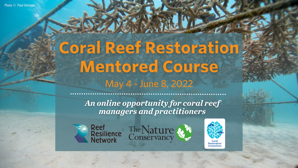 Mentored Restoration Course ad