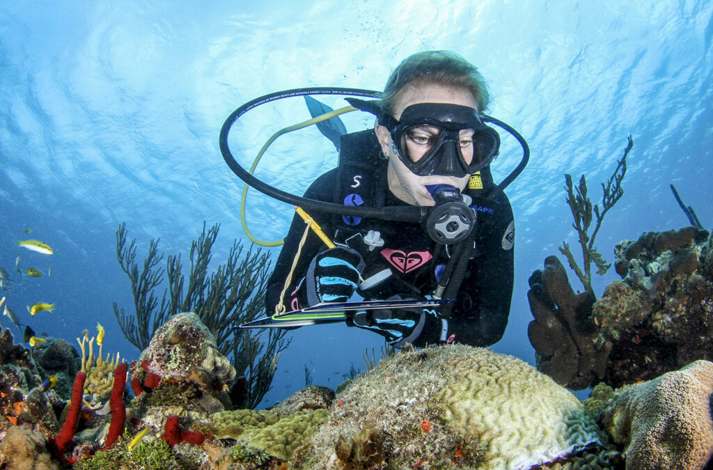 Monitoring diseased coral St.Croix John Melendez scaled