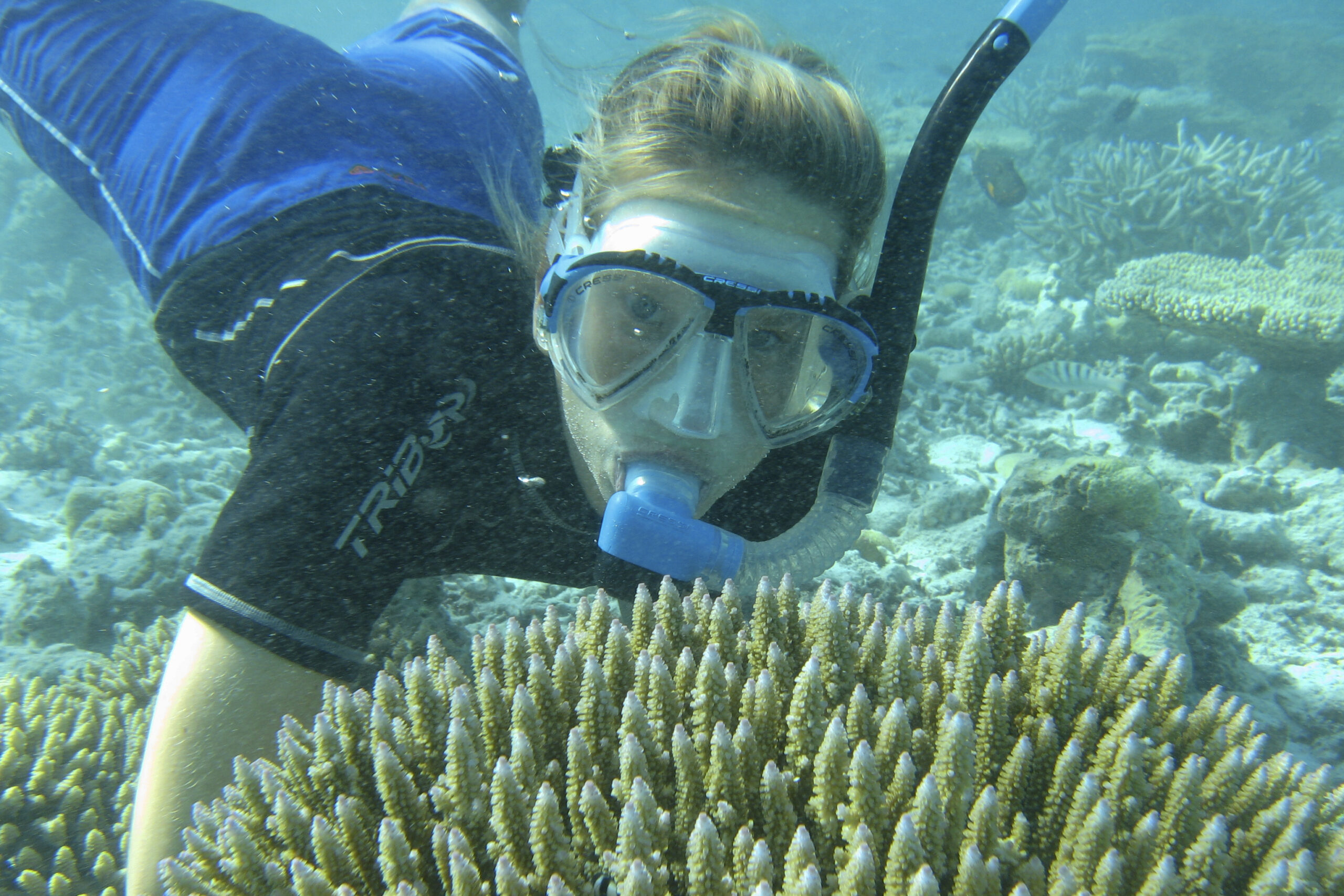 Pag-monitor sa snorkel. Ulli Kloiber