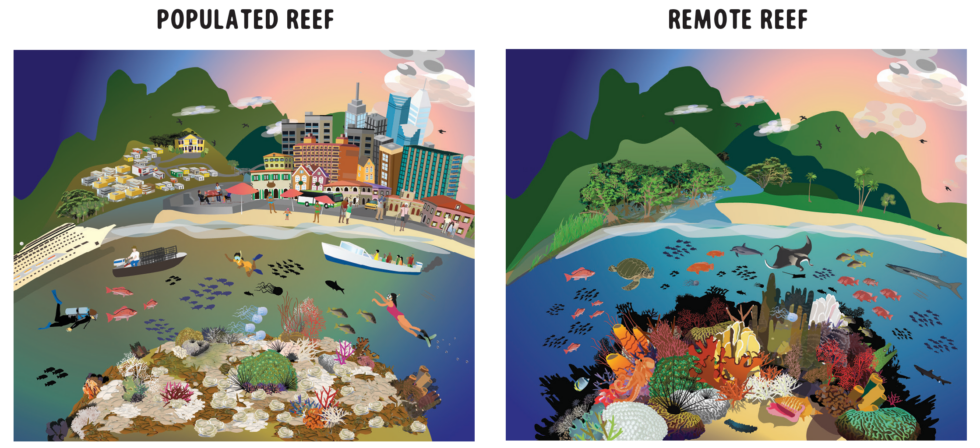 Connected Systems | Reef Resilience Network