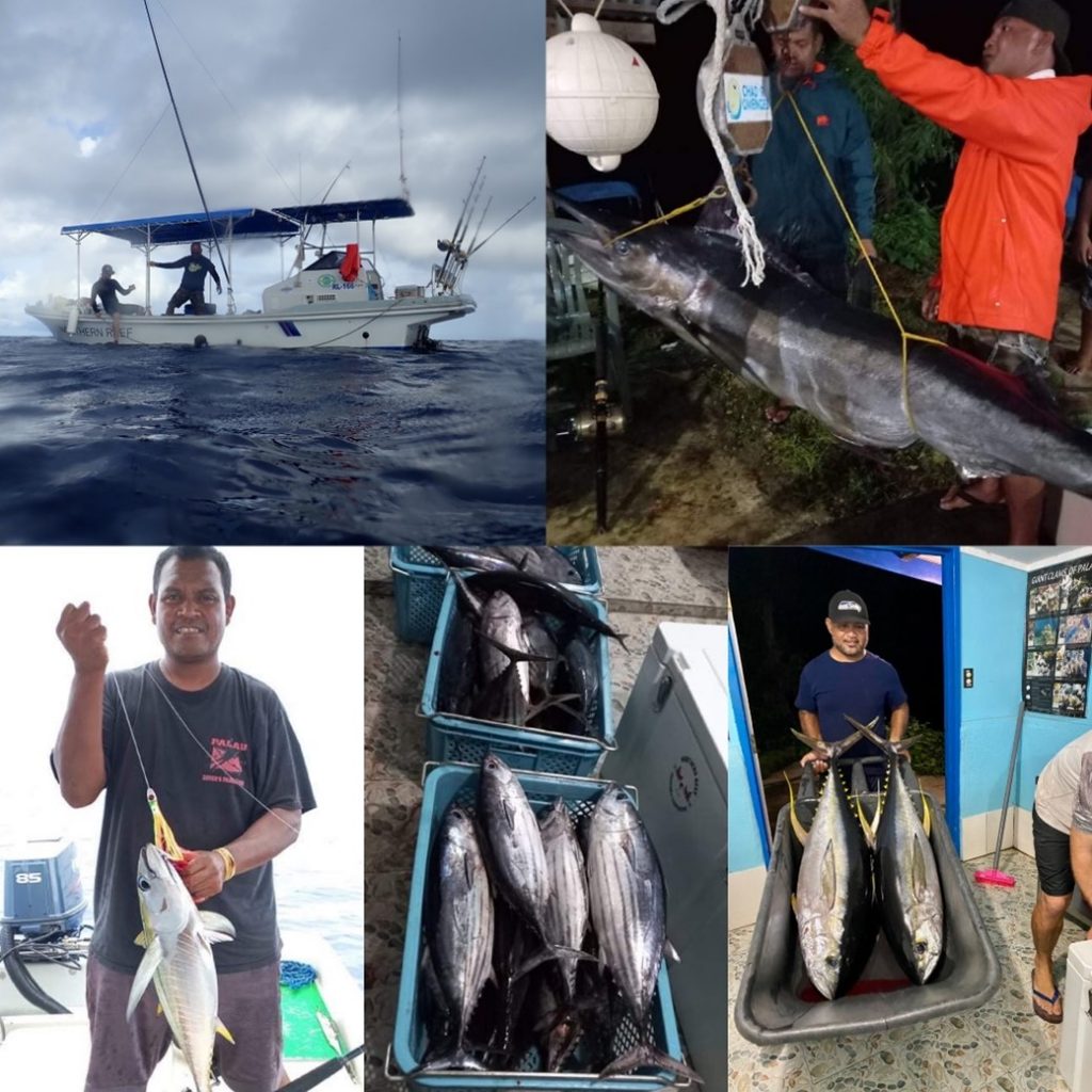 Cooperativa de Pesca dos Recifes do Norte Palau