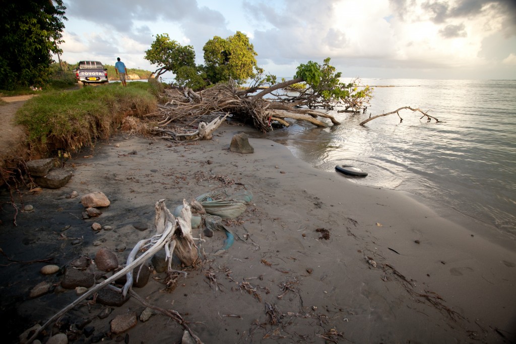 Remnants of an old pier and mangrove being inundated by rising sea level