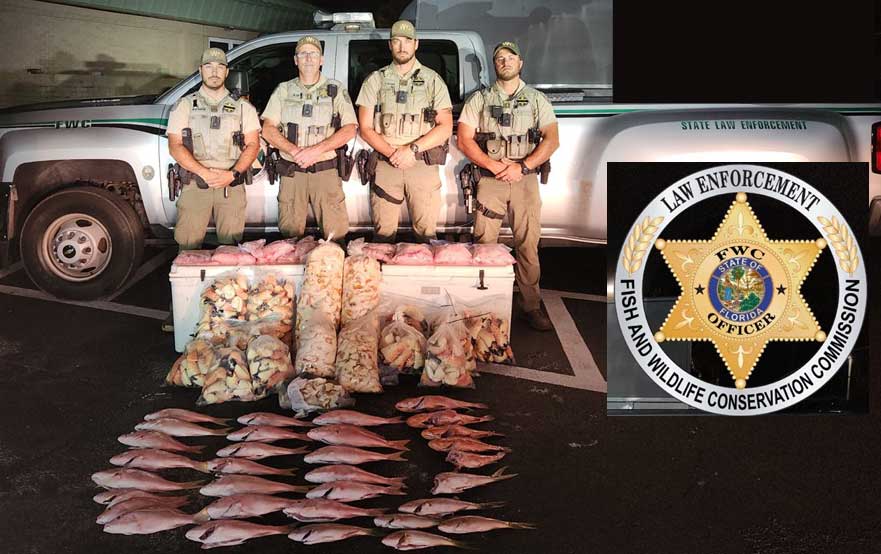 Based on intelligence information provided by Bahamian officers, FWC intercepted a vessel returning from the Bahamas with nearly 300 pounds of illegally imported queen conch and stone. 