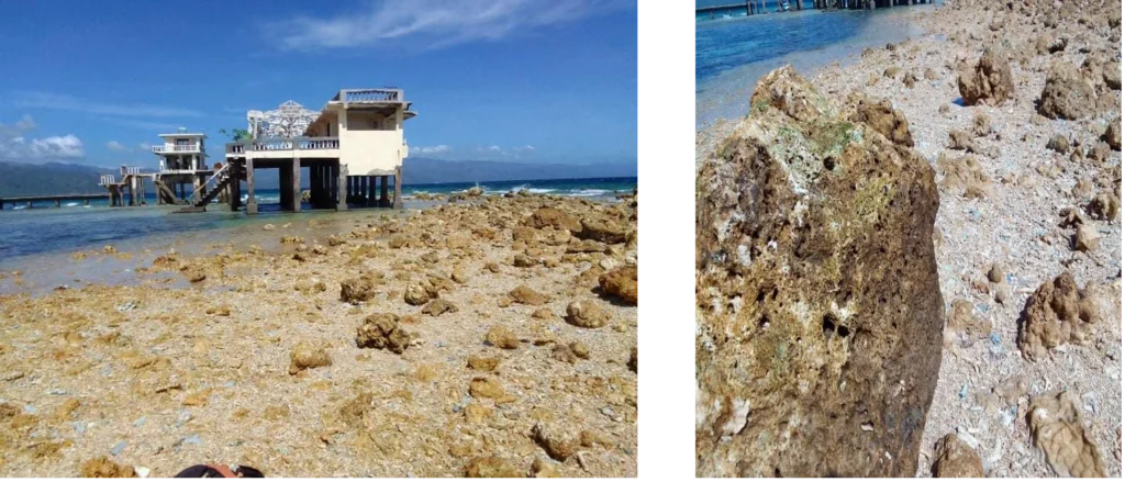 Damage caused by Typhoon Odette (Typhoon Rai) in 2021. Corals were destroyed and exposed due to shifting of sand and rubble. Photo © Municipality of Bindoy, Negros Oriental. Damage caused by Typhoon Odette (Typhoon Rai) in 2021. Corals were destroyed and exposed due to shifting of sand and rubble. Photo © Municipality of Bindoy, Negros Oriental.