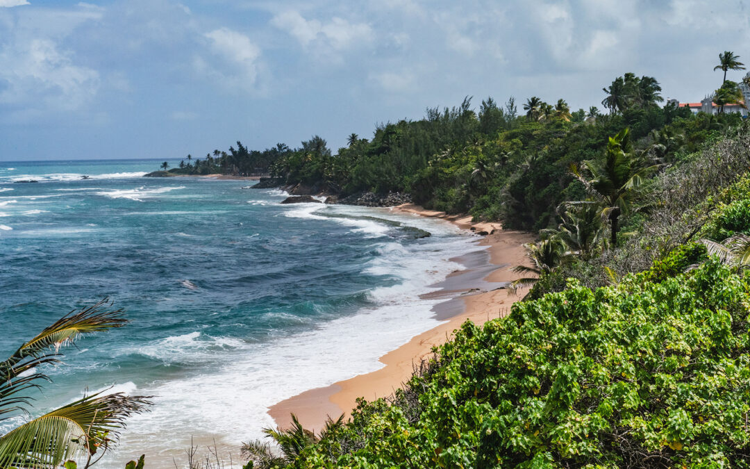 Financiamiento Sostenible para Apoyar las Áreas Marinas Protegidas en Puerto Rico