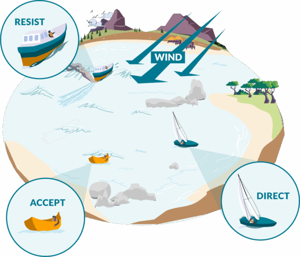 The RAD framework—Resist, Accept, Direct—illustrated.