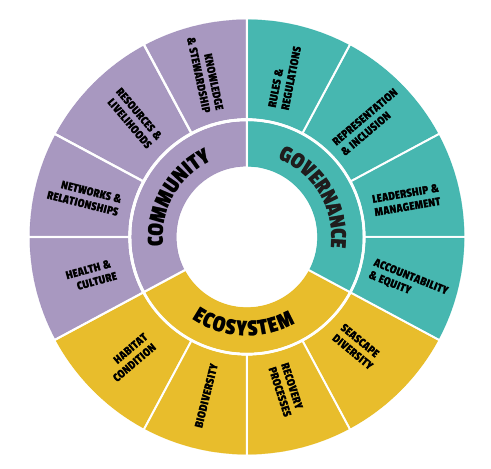 Resilient Reefs Initiative (RRI) | Reef Resilience