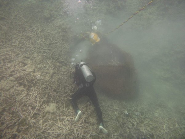 Reef bags are used to collect rubble on a degraded reef in Australia. Photo © Tom Baldock.