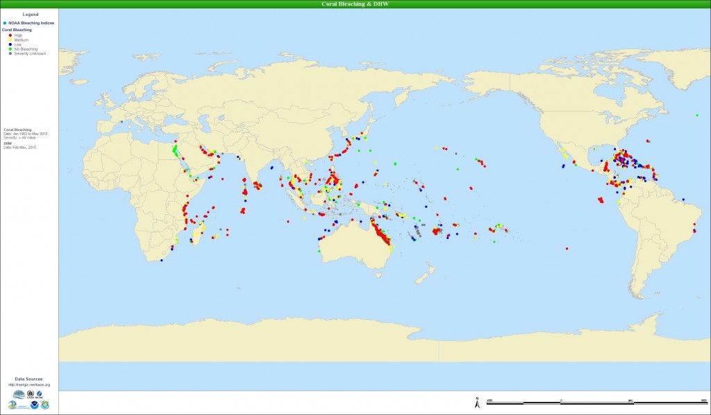 पिछले 50 वर्षों में (मई 2015 के रूप में) प्रवाल विरंजन की वैश्विक टिप्पणियों। स्रोत: रीफबेस