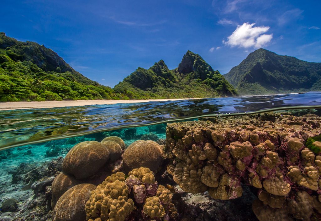 Terumbu cetek yang berkembang pesat di Samoa Amerika. Foto © Shaun Wolfe / Ocean Image Bank