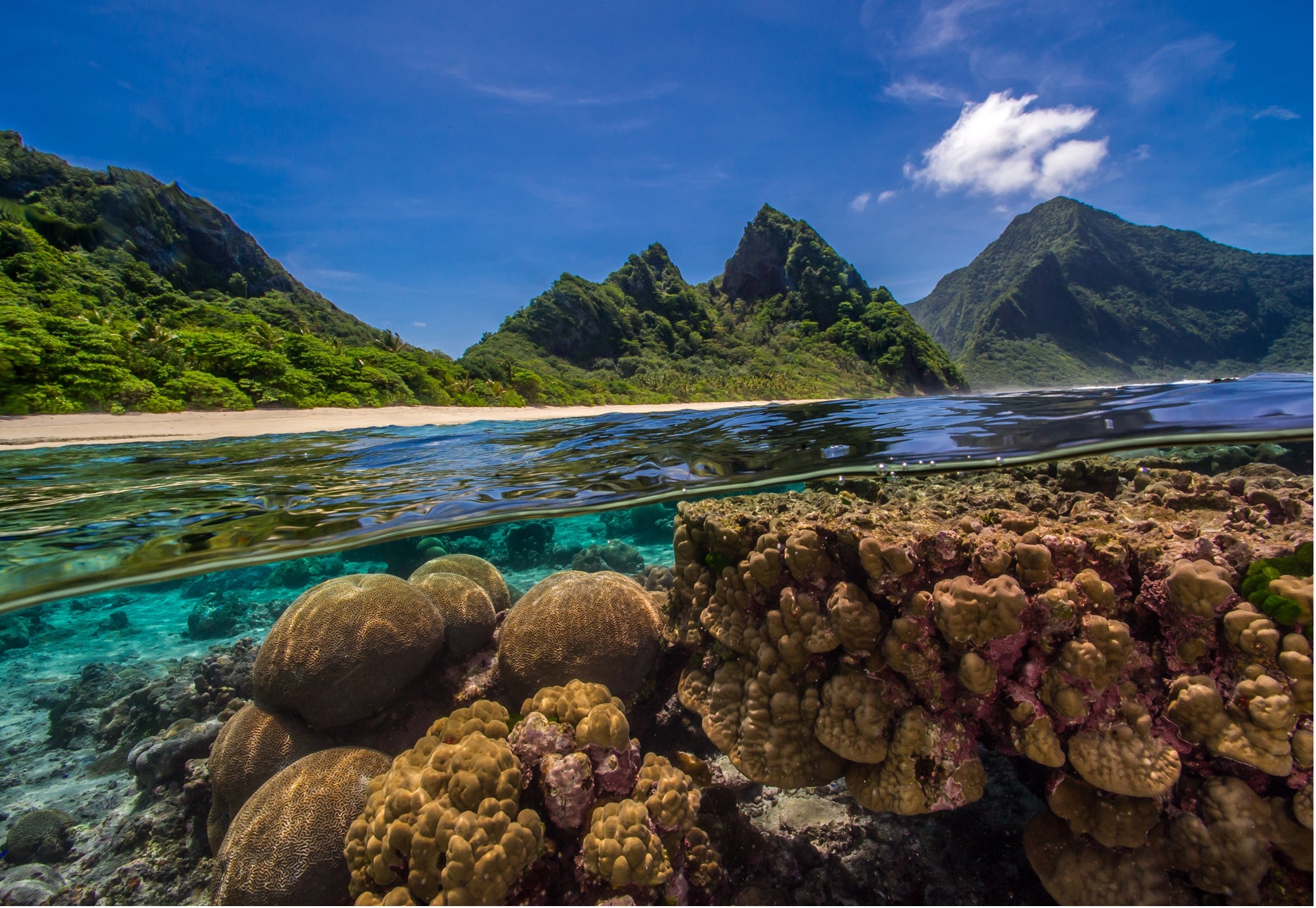 Reefs in Samoa Shaun Wolfe