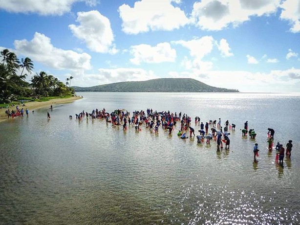 The local community removing invasive algae to restore near shore reef habitat in Hawai‘i. Photo © Mālama Maunalua