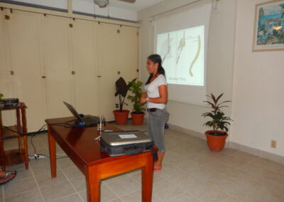 Seleni presenting during a stakeholder consultation meeting.
